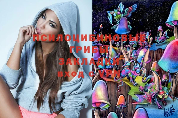 молекула духа Алексин