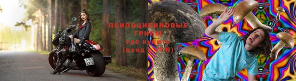 молекула духа Алексин